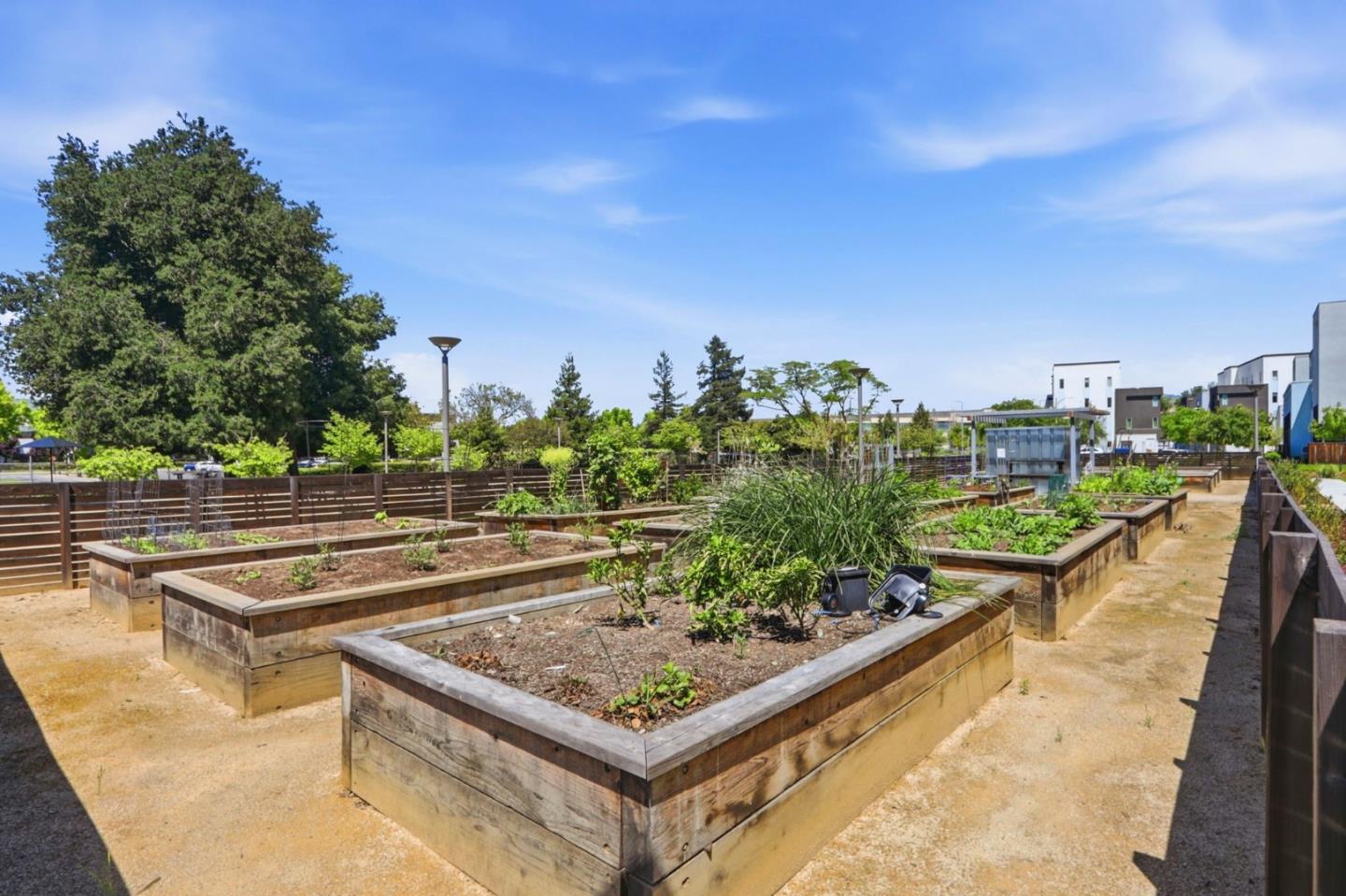 Detail Gallery Image 43 of 54 For 6709 Magnetic Loop, San Jose,  CA 95119 - 2 Beds | 2/1 Baths