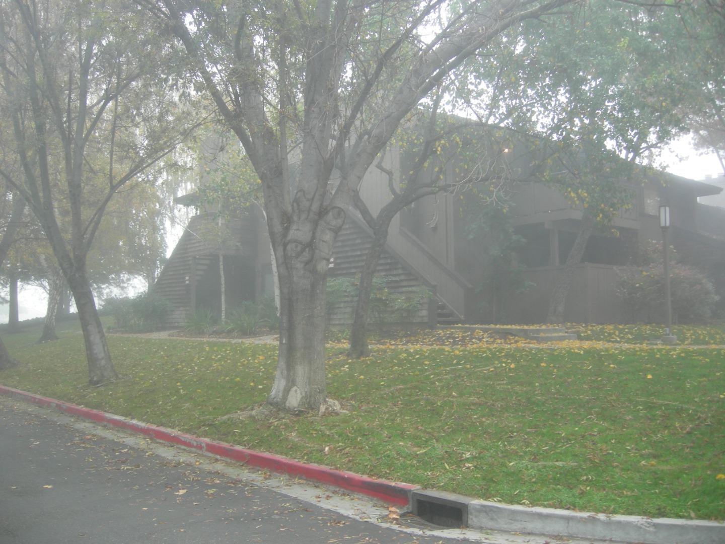 Detail Gallery Image 3 of 31 For La Terrace Cir, San Jose,  CA 95123 - 2 Beds | 2 Baths