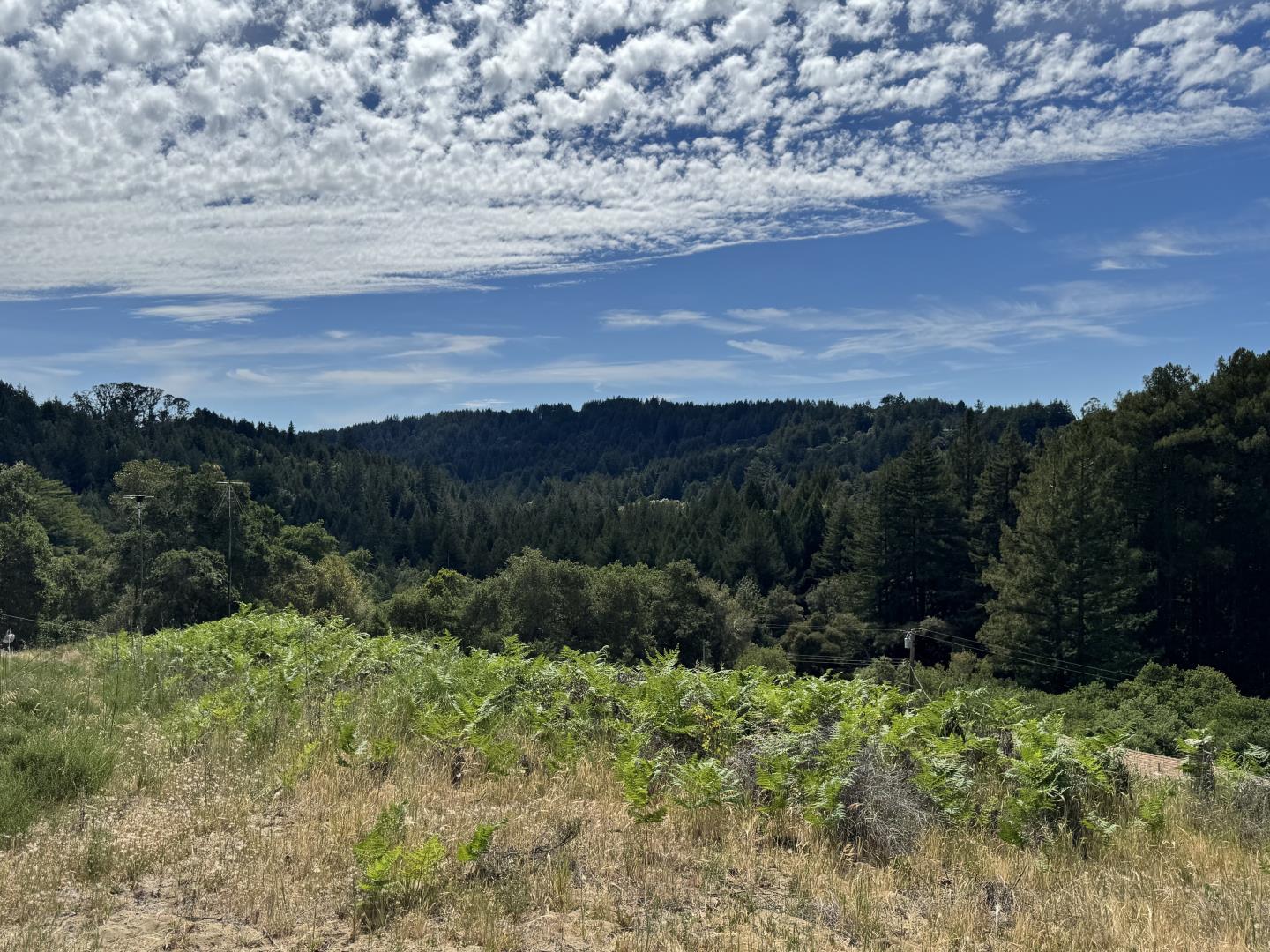 Detail Gallery Image 2 of 3 For Address Not Disclosed, Scotts Valley,  CA 95066 - – Beds | – Baths