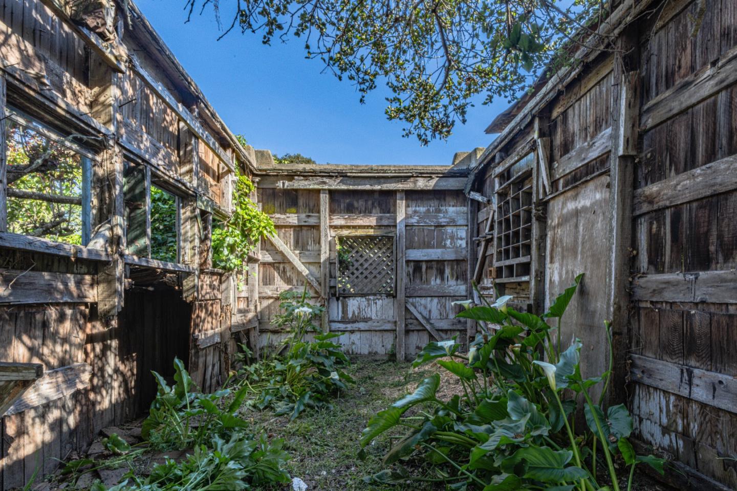 Detail Gallery Image 39 of 40 For 724 Cypress St, Monterey,  CA 93940 - 2 Beds | 1 Baths