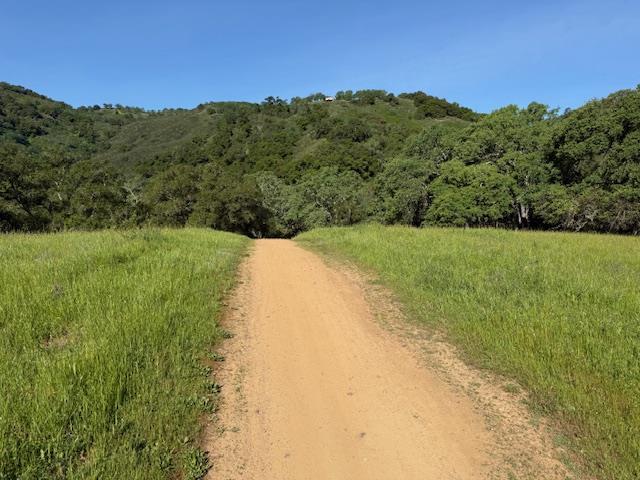 Detail Gallery Image 15 of 43 For 00 Almaden, San Jose,  CA 95120 - 1 Beds | 1 Baths