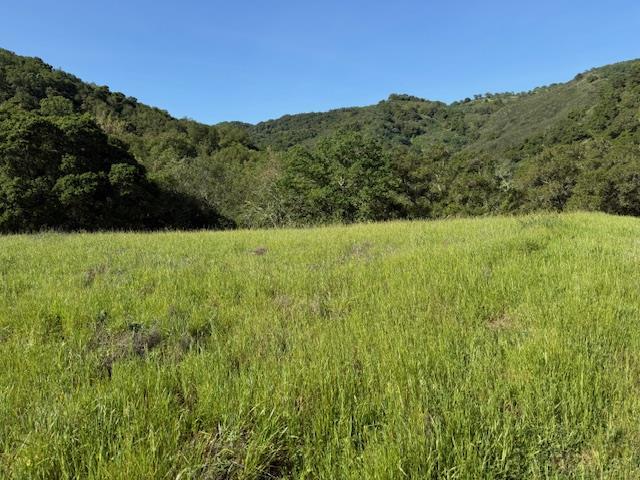 Detail Gallery Image 20 of 43 For 00 Almaden, San Jose,  CA 95120 - 1 Beds | 1 Baths