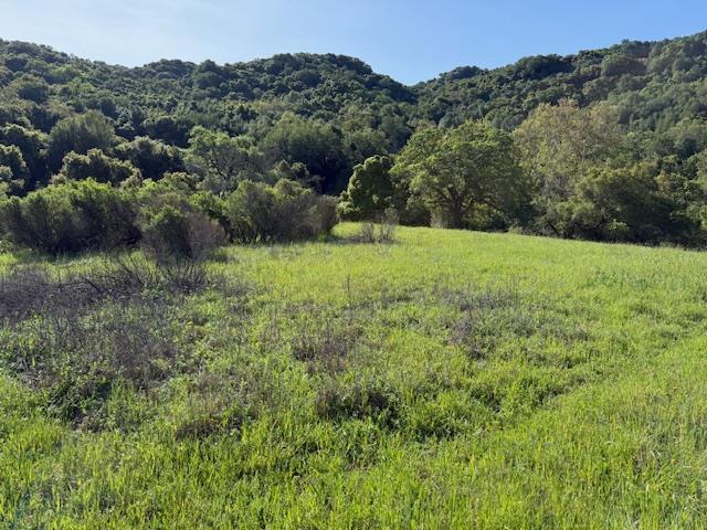 Detail Gallery Image 28 of 43 For 00 Almaden, San Jose,  CA 95120 - 1 Beds | 1 Baths