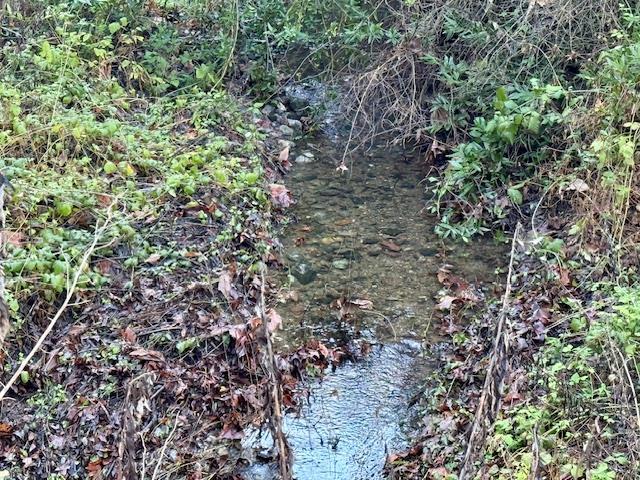 Detail Gallery Image 37 of 43 For 00 Almaden, San Jose,  CA 95120 - 1 Beds | 1 Baths