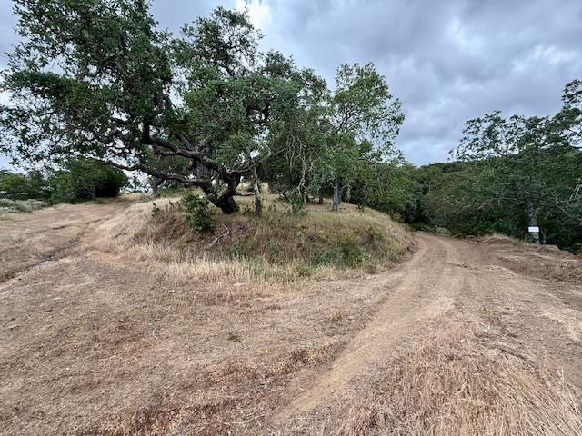 Detail Gallery Image 38 of 43 For 00 Almaden, San Jose,  CA 95120 - 1 Beds | 1 Baths