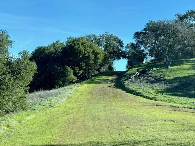 Detail Gallery Image 40 of 43 For 00 Almaden, San Jose,  CA 95120 - 1 Beds | 1 Baths