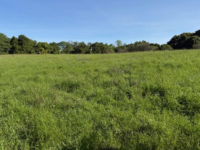 Detail Gallery Image 43 of 43 For 00 Almaden, San Jose,  CA 95120 - 1 Beds | 1 Baths