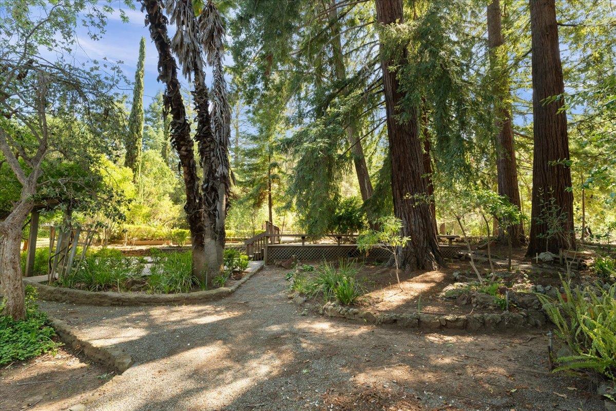 Detail Gallery Image 51 of 81 For 19941 Sunset Dr, Saratoga,  CA 95070 - 4 Beds | 3 Baths