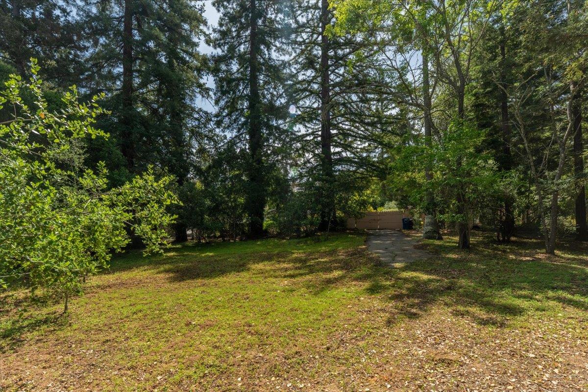 Detail Gallery Image 53 of 81 For 19941 Sunset Dr, Saratoga,  CA 95070 - 4 Beds | 3 Baths