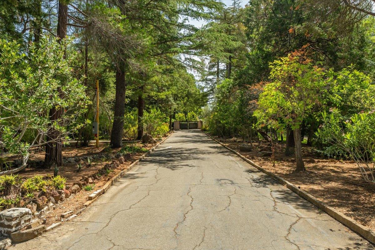 Detail Gallery Image 68 of 81 For 19941 Sunset Dr, Saratoga,  CA 95070 - 4 Beds | 3 Baths