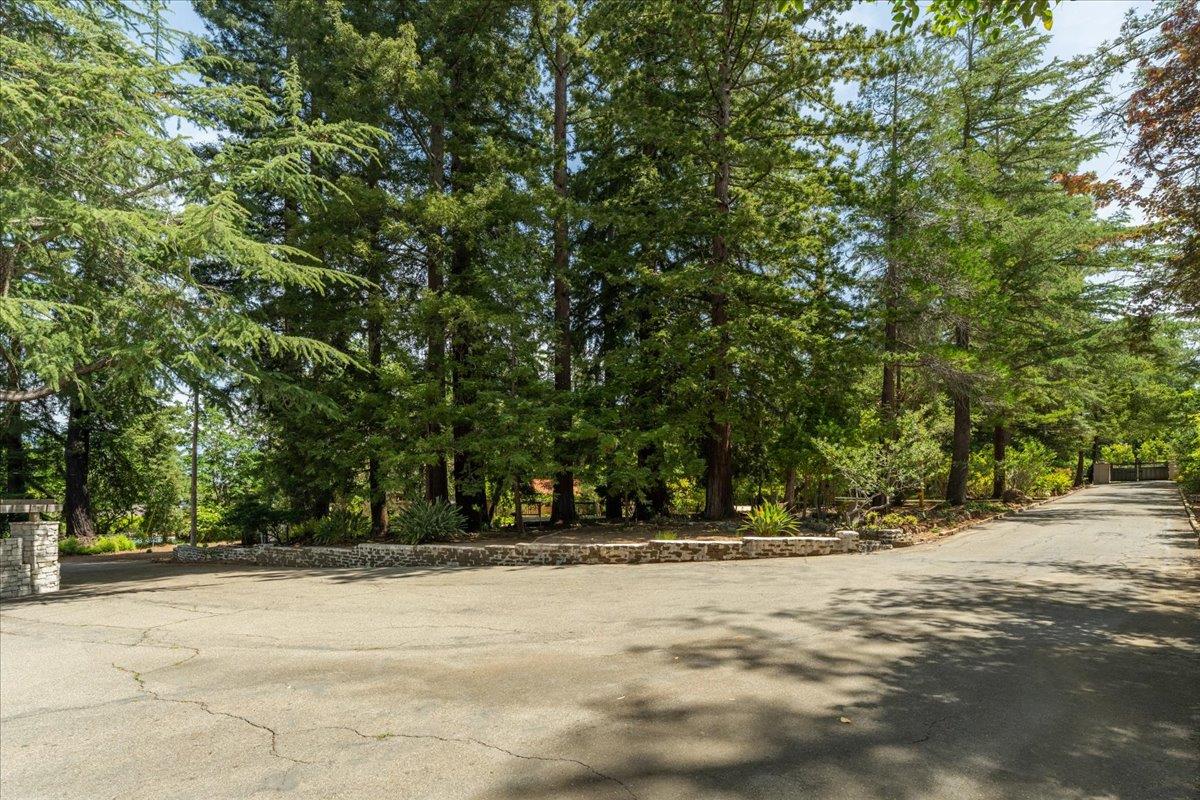 Detail Gallery Image 69 of 81 For 19941 Sunset Dr, Saratoga,  CA 95070 - 4 Beds | 3 Baths