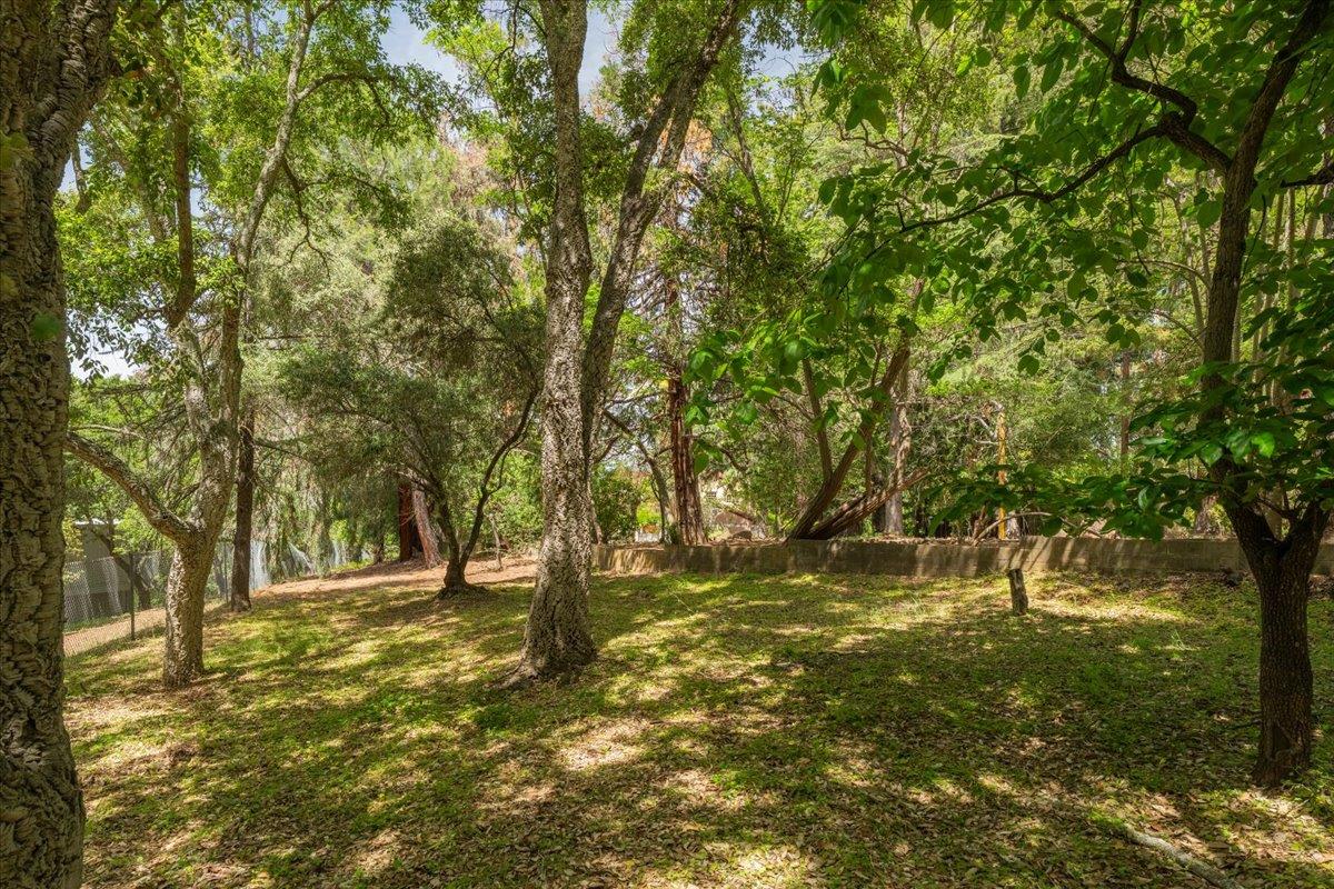 Detail Gallery Image 76 of 81 For 19941 Sunset Dr, Saratoga,  CA 95070 - 4 Beds | 3 Baths