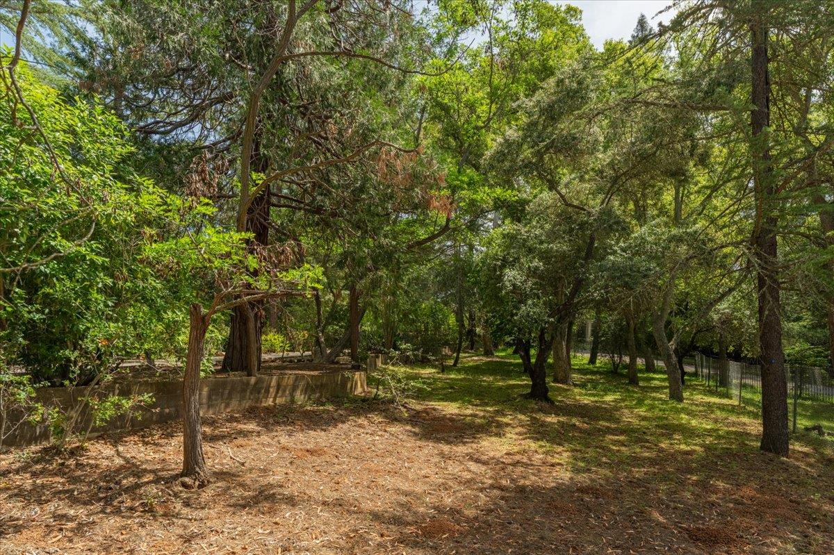 Detail Gallery Image 77 of 81 For 19941 Sunset Dr, Saratoga,  CA 95070 - 4 Beds | 3 Baths