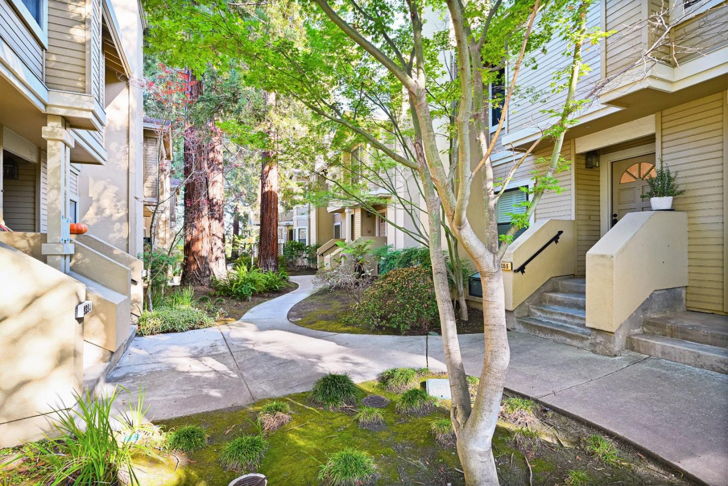 Photo #37: ML82043676 Listing: Photo #37