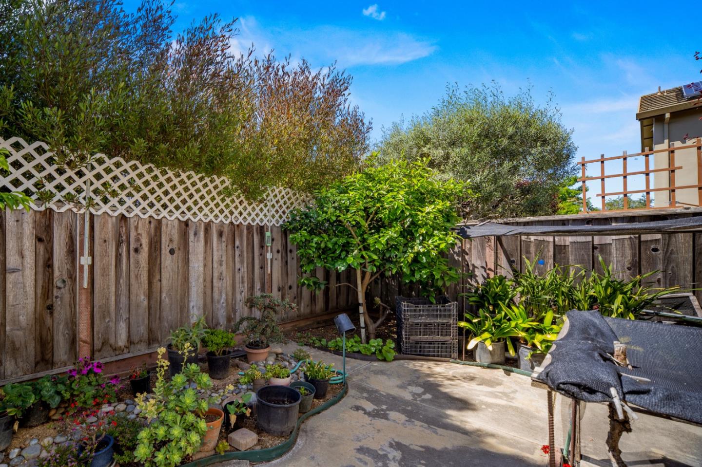 Detail Gallery Image 20 of 39 For 510 Wimbledon Ave, Salinas,  CA 93906 - 3 Beds | 2 Baths