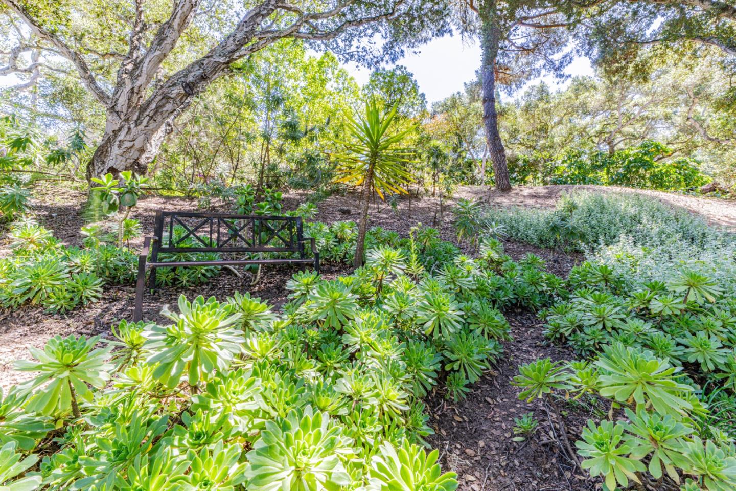 Detail Gallery Image 12 of 40 For 17848 Berta Canyon Rd, Salinas,  CA 93907 - 3 Beds | 2 Baths