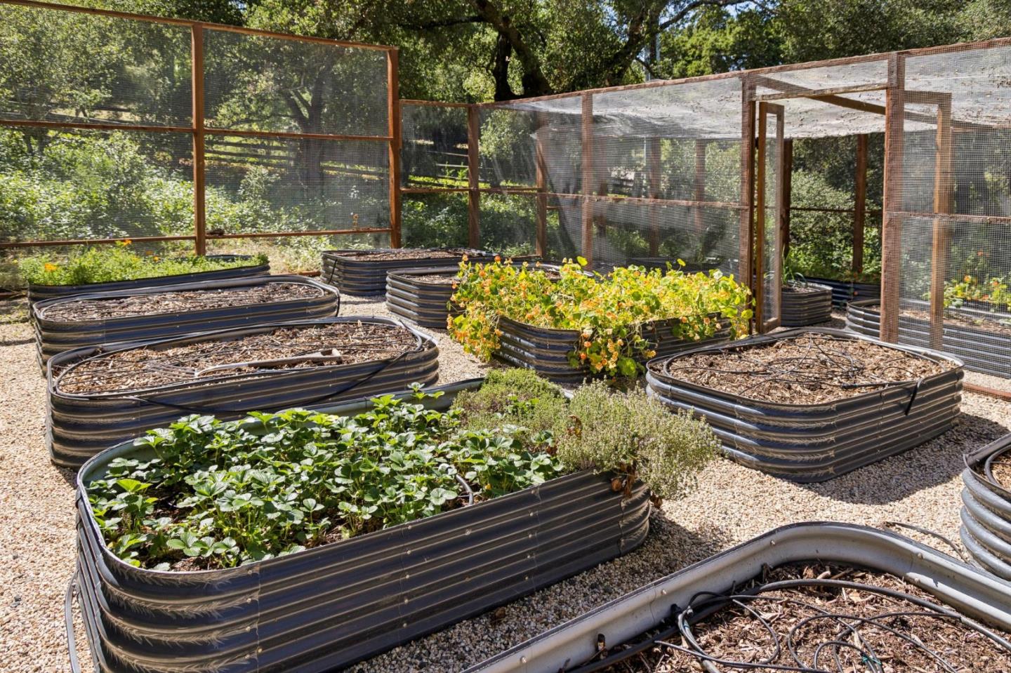 Detail Gallery Image 57 of 65 For 600 Moore Rd, Woodside,  CA 94062 - 4 Beds | 4/1 Baths