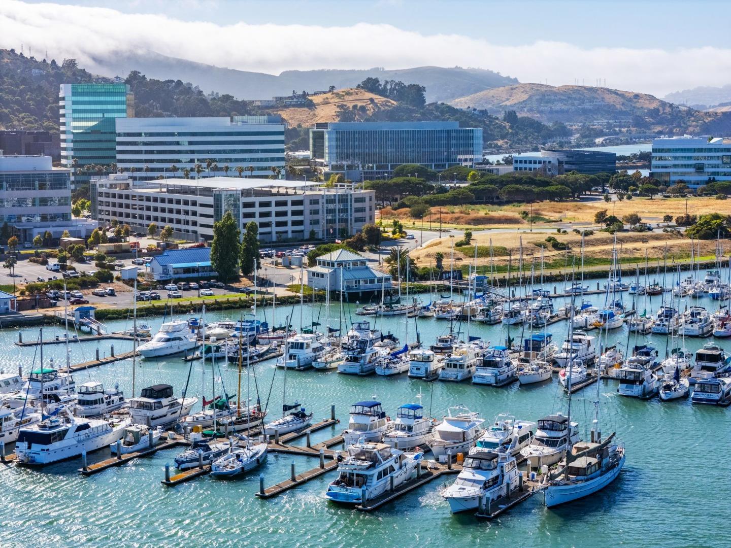 Detail Gallery Image 46 of 50 For 820 Humboldt Rd, Brisbane,  CA 94005 - 3 Beds | 2 Baths