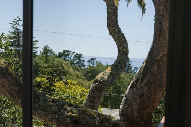 Detail Gallery Image 37 of 46 For 24390 San Marcos Rd, Carmel,  CA 93923 - 3 Beds | 2 Baths