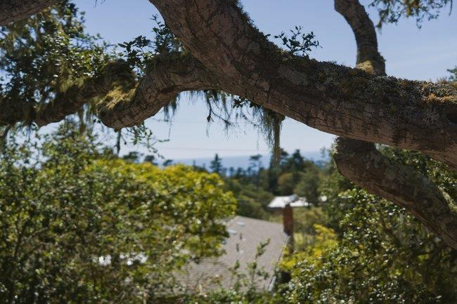 Detail Gallery Image 39 of 46 For 24390 San Marcos Rd, Carmel,  CA 93923 - 3 Beds | 2 Baths