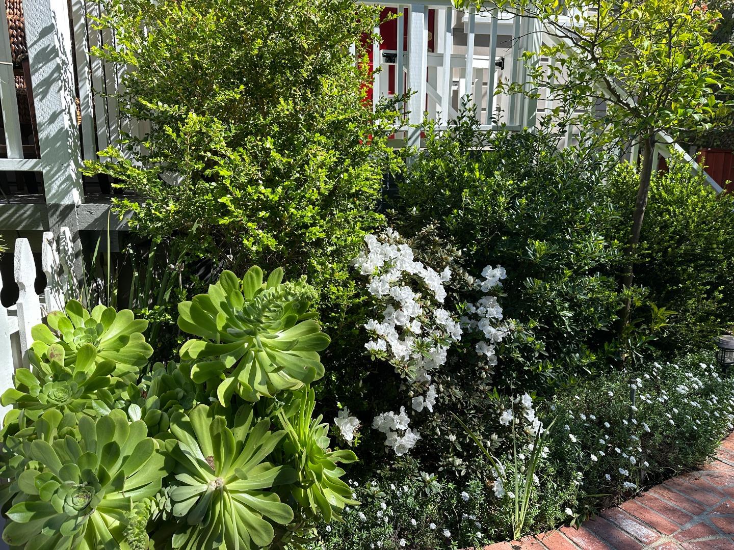 Detail Gallery Image 36 of 38 For 928-930 Scott St, Palo Alto,  CA 94301 - 4 Beds | 3 Baths