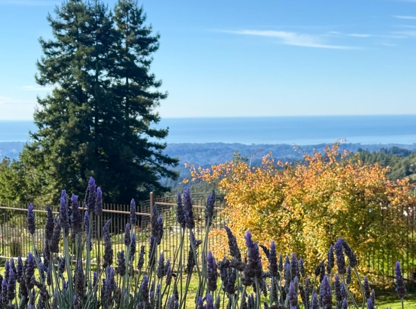 Detail Gallery Image 12 of 80 For 1061 Summit Rd, Watsonville,  CA 95076 - 3 Beds | 3 Baths