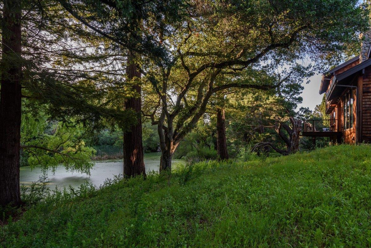 Detail Gallery Image 45 of 58 For 90 Hayfields Rd, Portola Valley,  CA 94028 - 6 Beds | 3/1 Baths