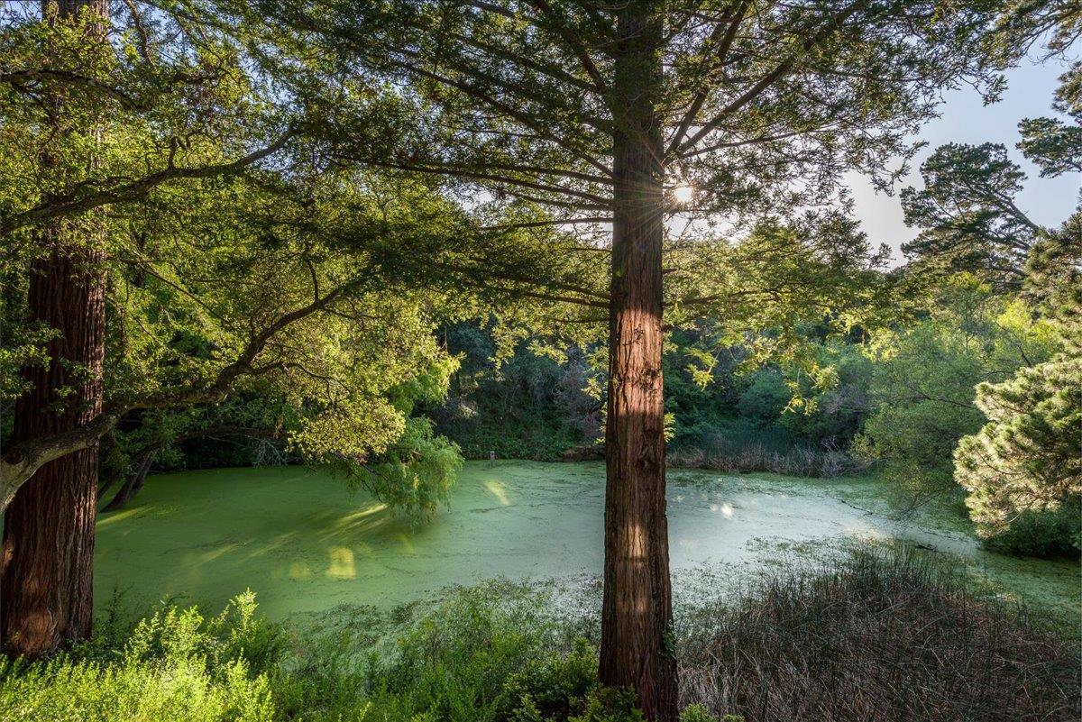 Detail Gallery Image 47 of 58 For 90 Hayfields Rd, Portola Valley,  CA 94028 - 6 Beds | 3/1 Baths