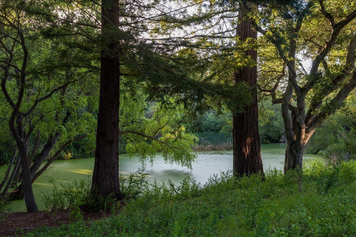 Detail Gallery Image 5 of 58 For 90 Hayfields Rd, Portola Valley,  CA 94028 - 6 Beds | 3/1 Baths