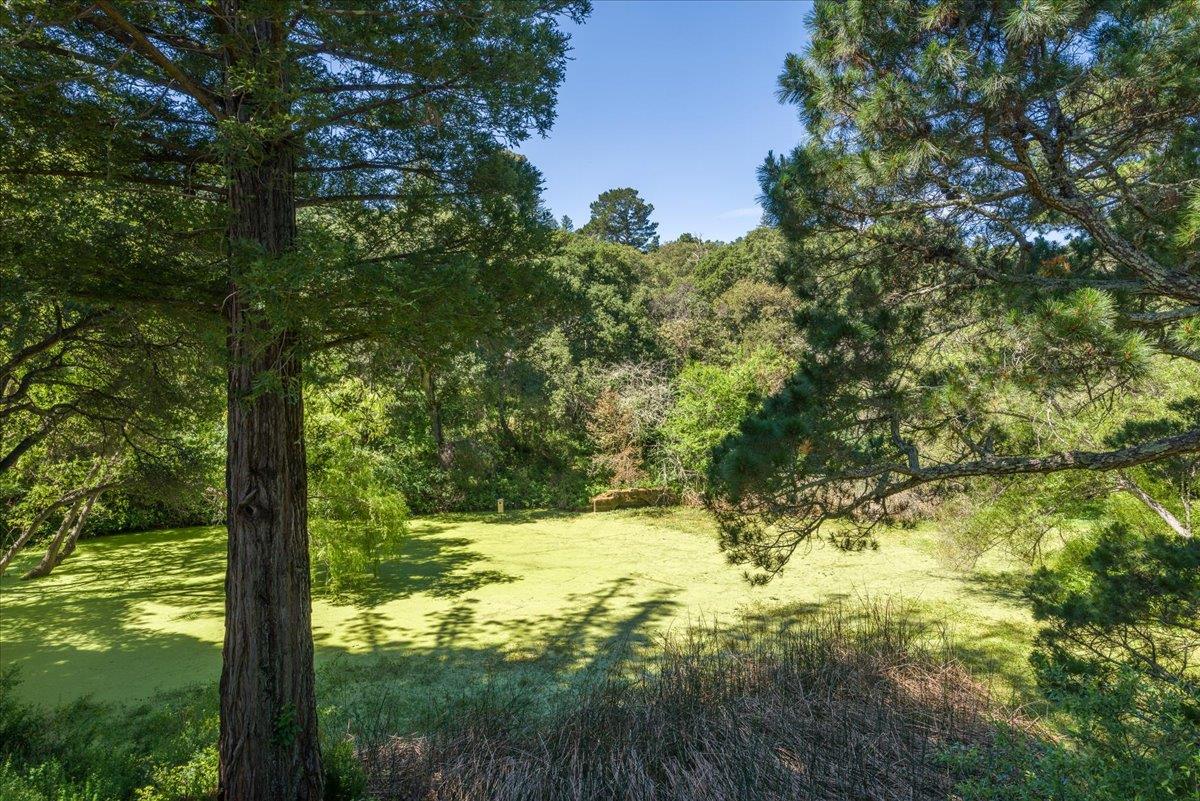 Detail Gallery Image 55 of 58 For 90 Hayfields Rd, Portola Valley,  CA 94028 - 6 Beds | 3/1 Baths