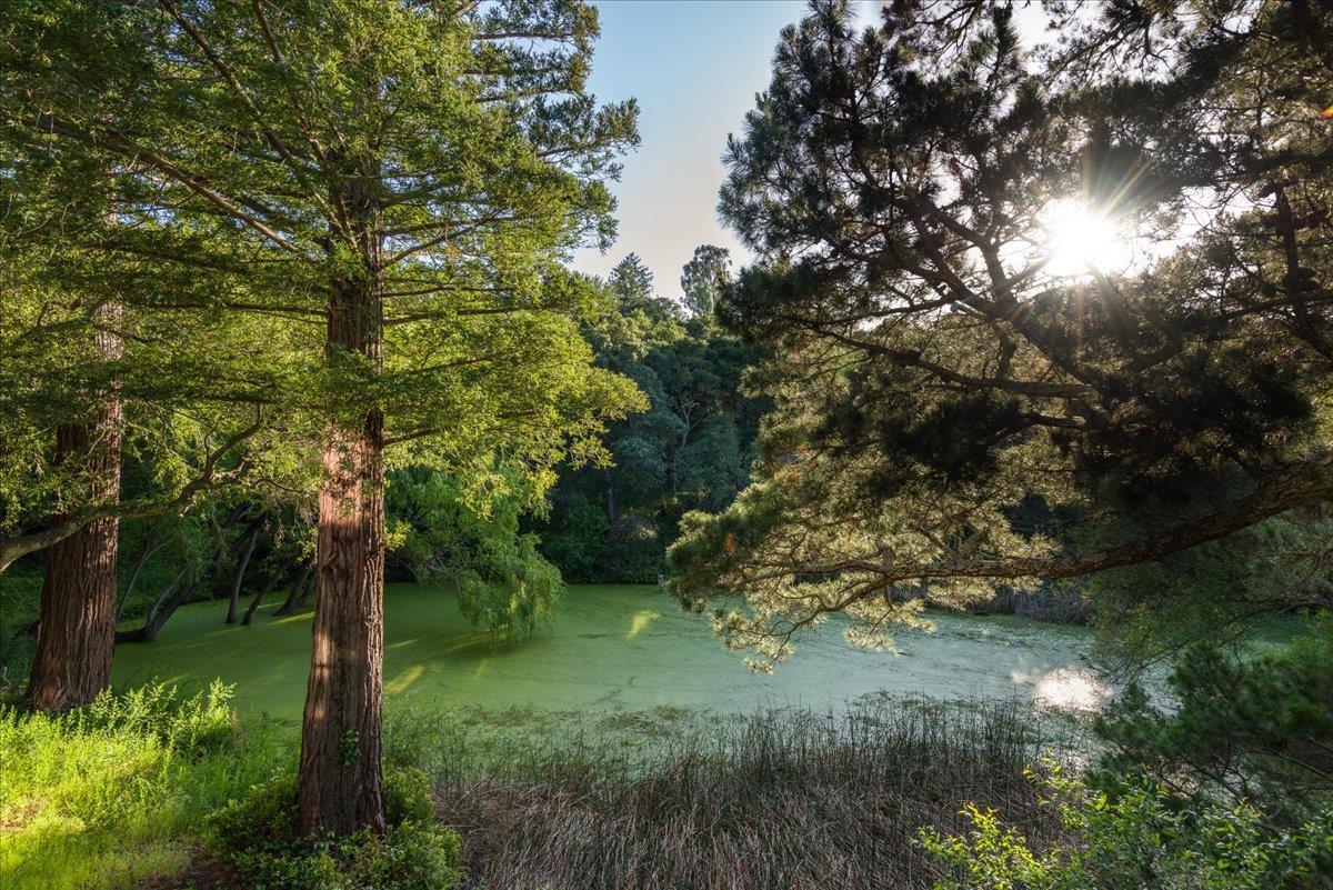 Detail Gallery Image 56 of 58 For 90 Hayfields Rd, Portola Valley,  CA 94028 - 6 Beds | 3/1 Baths