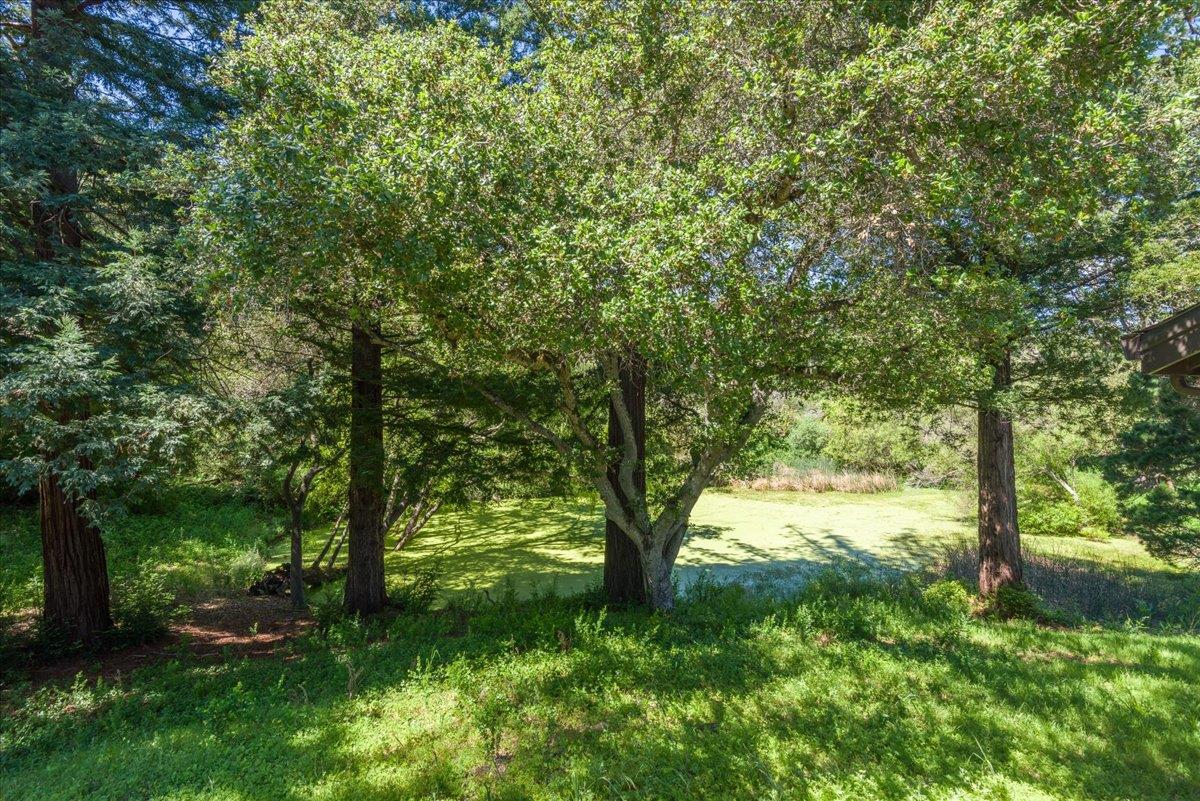 Detail Gallery Image 57 of 58 For 90 Hayfields Rd, Portola Valley,  CA 94028 - 6 Beds | 3/1 Baths