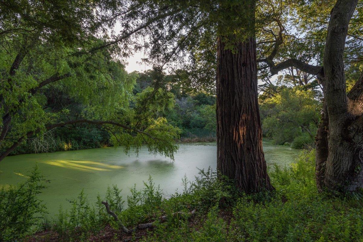 Detail Gallery Image 58 of 58 For 90 Hayfields Rd, Portola Valley,  CA 94028 - 6 Beds | 3/1 Baths