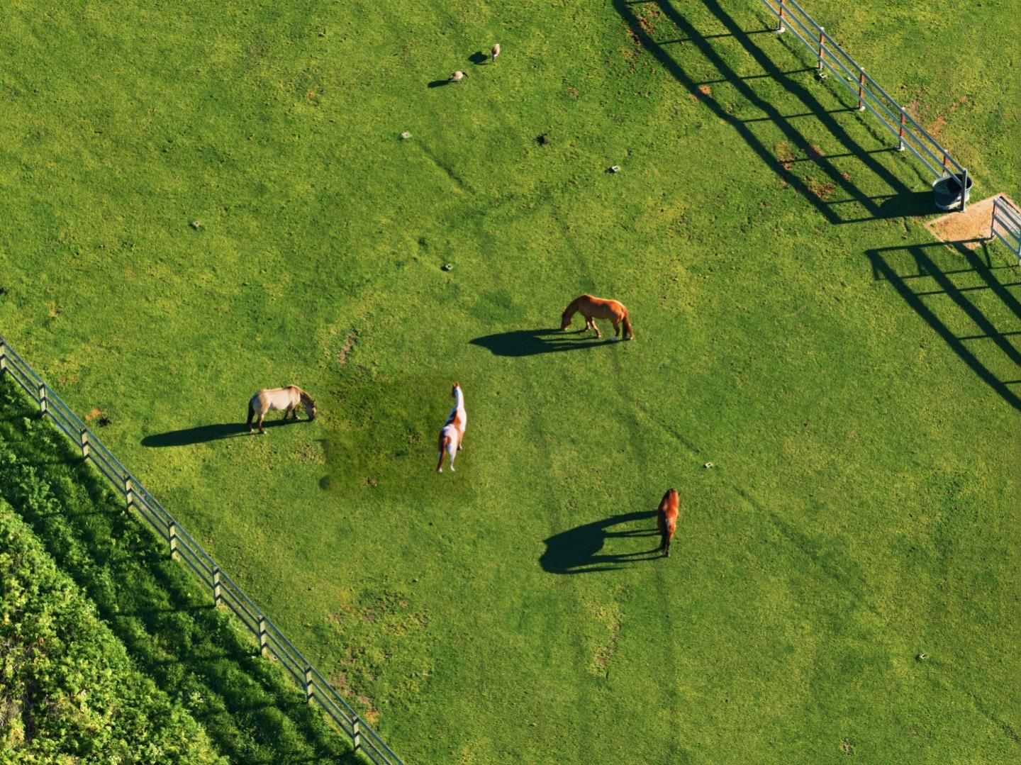 Detail Gallery Image 52 of 53 For 53 Riley Ranch Rd 53a-53b-53c,  Carmel,  CA 93923 - 6 Beds | 5/1 Baths