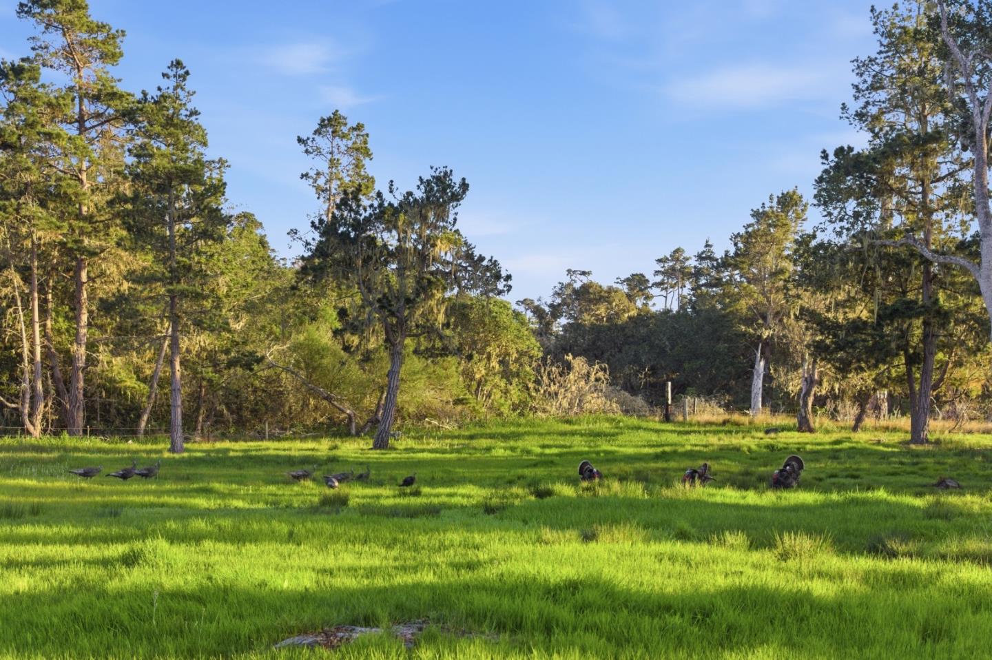 Detail Gallery Image 53 of 53 For 53 Riley Ranch Rd 53a-53b-53c,  Carmel,  CA 93923 - 6 Beds | 5/1 Baths