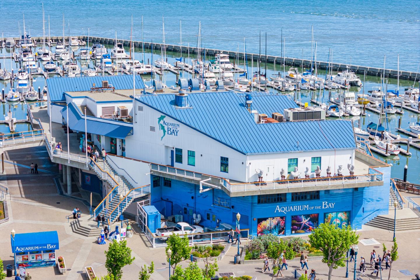 Detail Gallery Image 41 of 46 For 592 Chestnut St, San Francisco,  CA 94133 - 3 Beds | 3 Baths