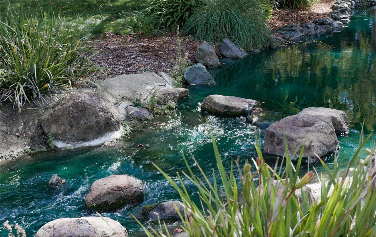 Detail Gallery Image 96 of 100 For 142 Calle Larga, Los Gatos,  CA 95032 - 3 Beds | 3 Baths