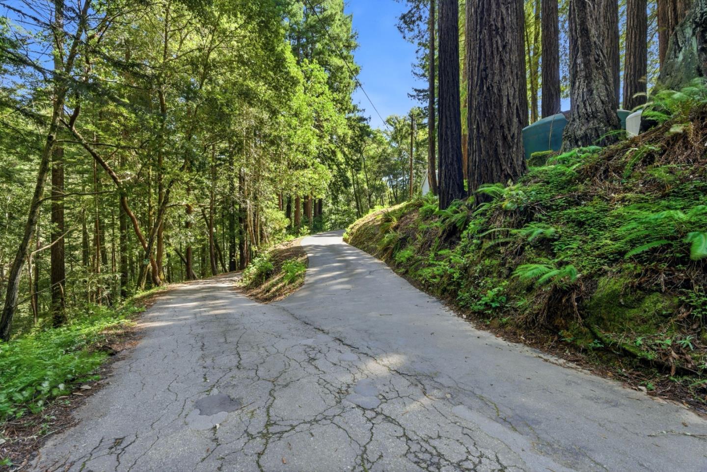 Detail Gallery Image 19 of 32 For 1460 Tucker Rd, Scotts Valley,  CA 95066 - 4 Beds | 2 Baths