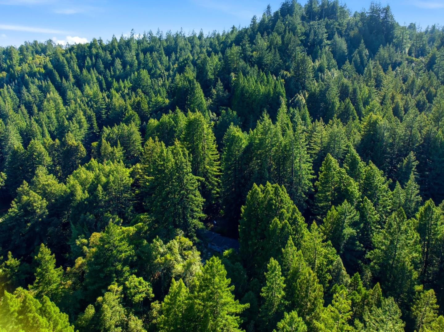 Detail Gallery Image 24 of 32 For 1460 Tucker Rd, Scotts Valley,  CA 95066 - 4 Beds | 2 Baths