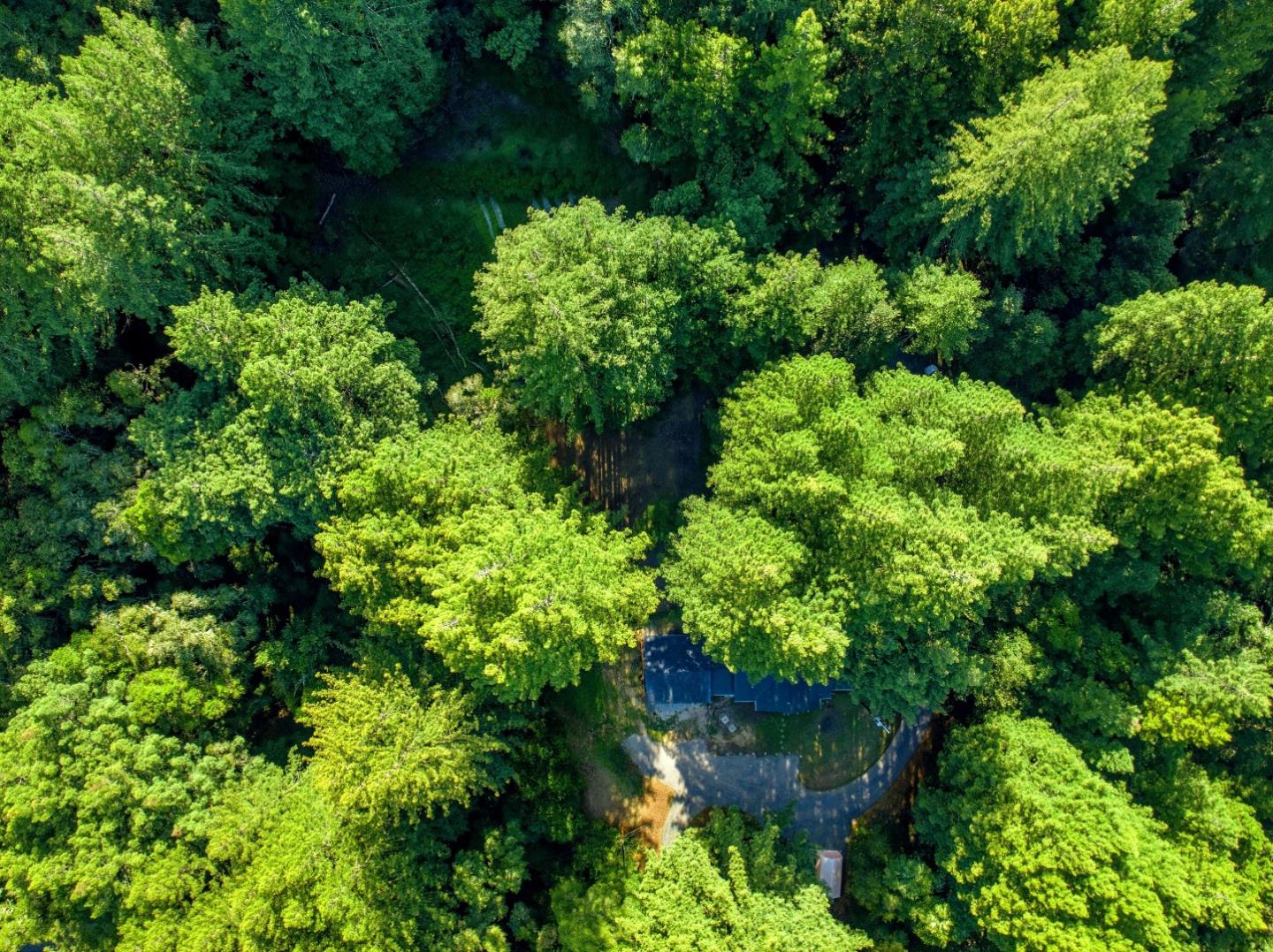 Detail Gallery Image 25 of 32 For 1460 Tucker Rd, Scotts Valley,  CA 95066 - 4 Beds | 2 Baths