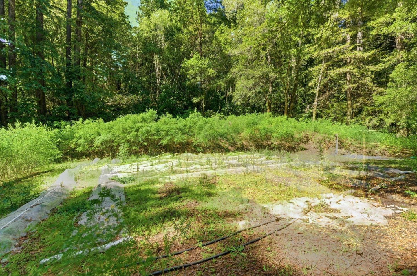 Detail Gallery Image 28 of 32 For 1460 Tucker Rd, Scotts Valley,  CA 95066 - 4 Beds | 2 Baths