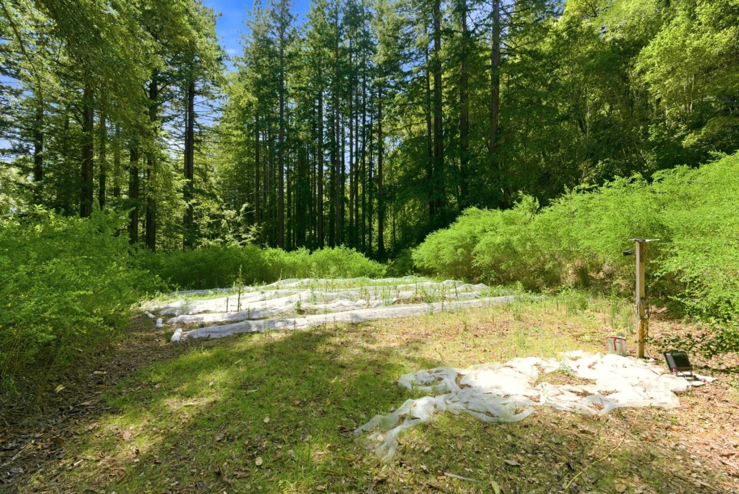 Detail Gallery Image 29 of 32 For 1460 Tucker Rd, Scotts Valley,  CA 95066 - 4 Beds | 2 Baths