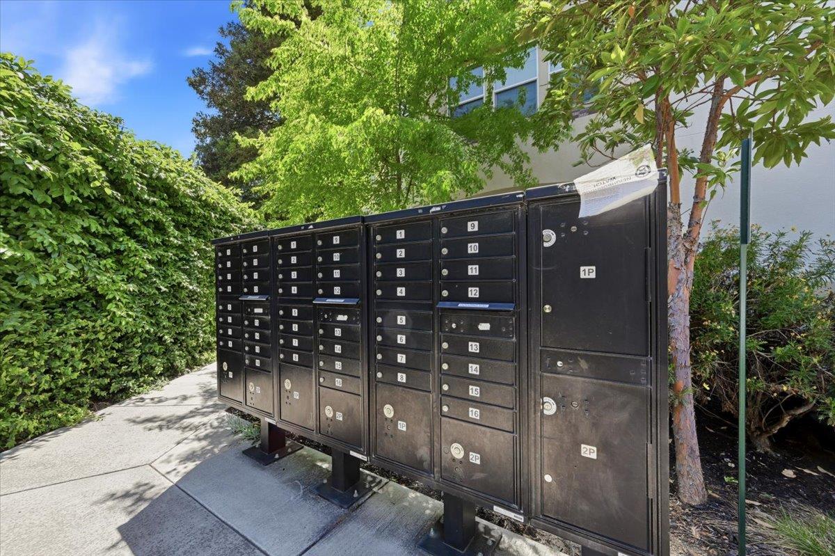 Detail Gallery Image 64 of 78 For 157 Jeffrey Ter, Sunnyvale,  CA 94086 - 3 Beds | 2/1 Baths