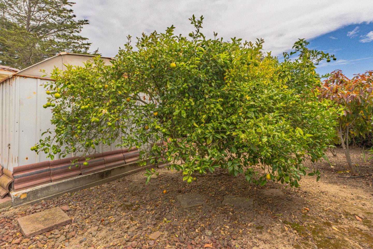 Detail Gallery Image 31 of 35 For 15084 Green Oak Pl, Salinas,  CA 93907 - 3 Beds | 2 Baths