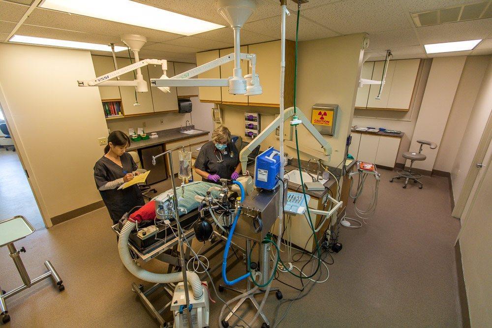 987 Laurel Street, San Carlos, CA, 94070