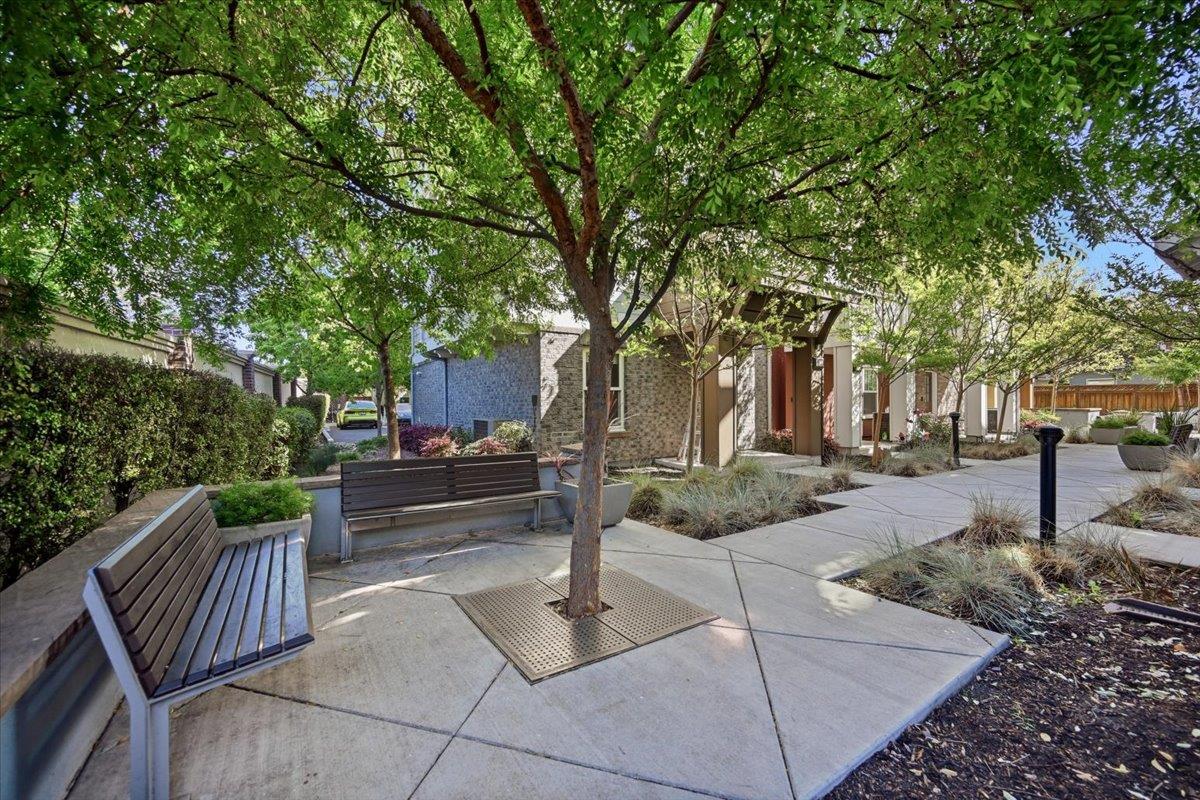 Detail Gallery Image 72 of 98 For 1918 Stella St, Mountain View,  CA 94043 - 4 Beds | 2/2 Baths