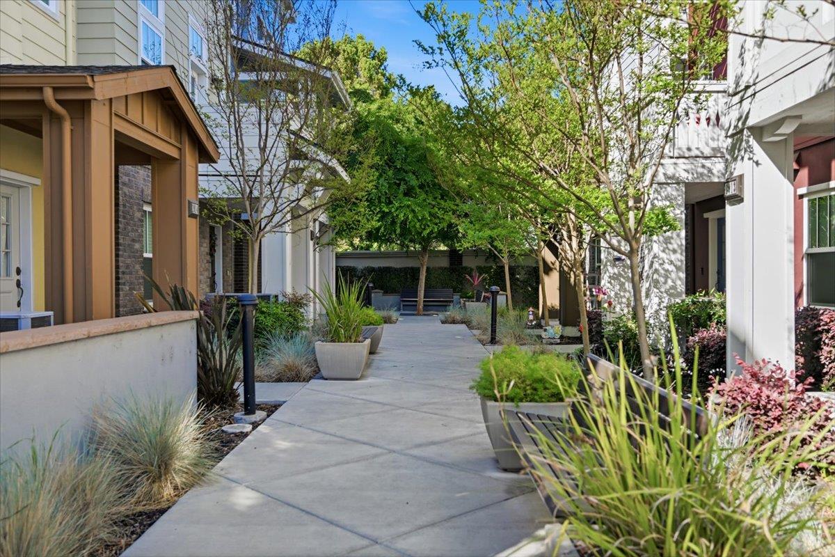 Detail Gallery Image 74 of 98 For 1918 Stella St, Mountain View,  CA 94043 - 4 Beds | 2/2 Baths