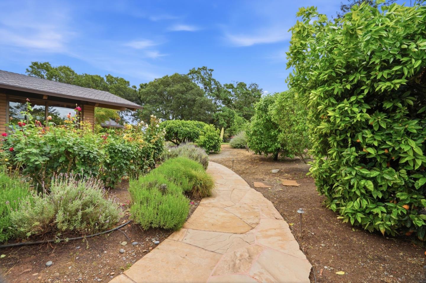 Loyola Drive, Los Altos, CA, 94024