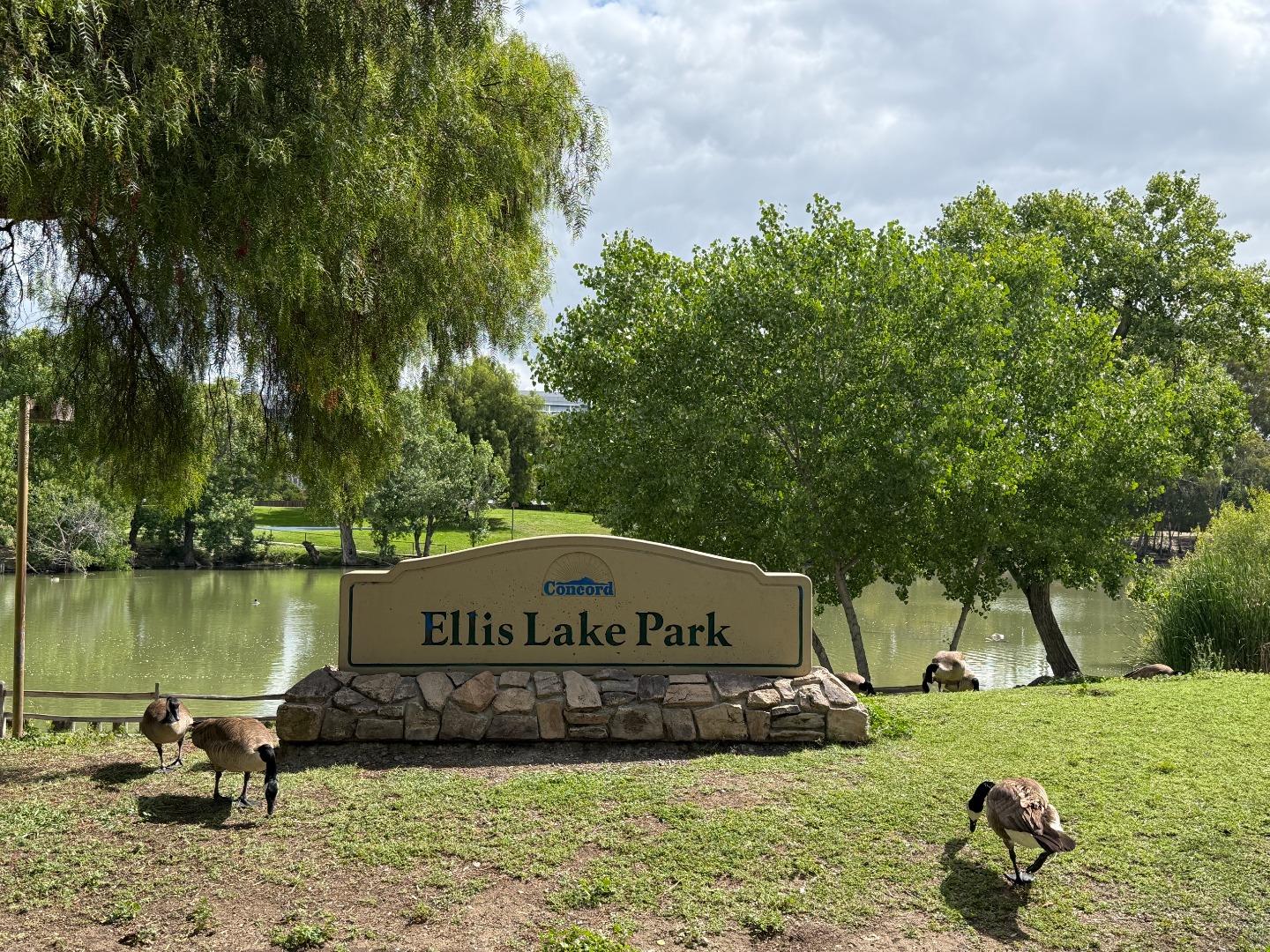 1731 Ellis Street UNIT 26, Concord, CA, 94520