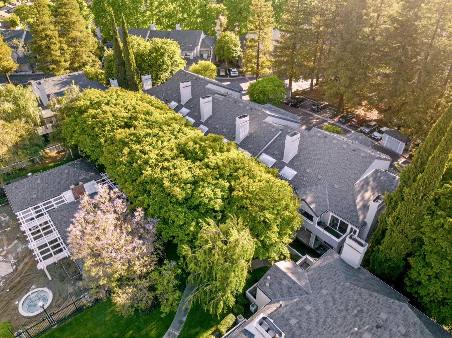 Photo #33: ML82044252 Listing: Photo #33